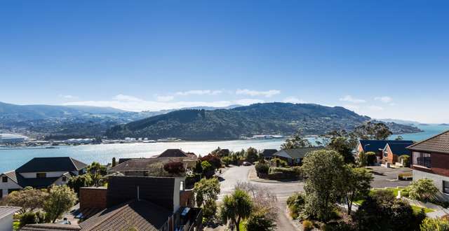 217 Larnach Road Waverley_2