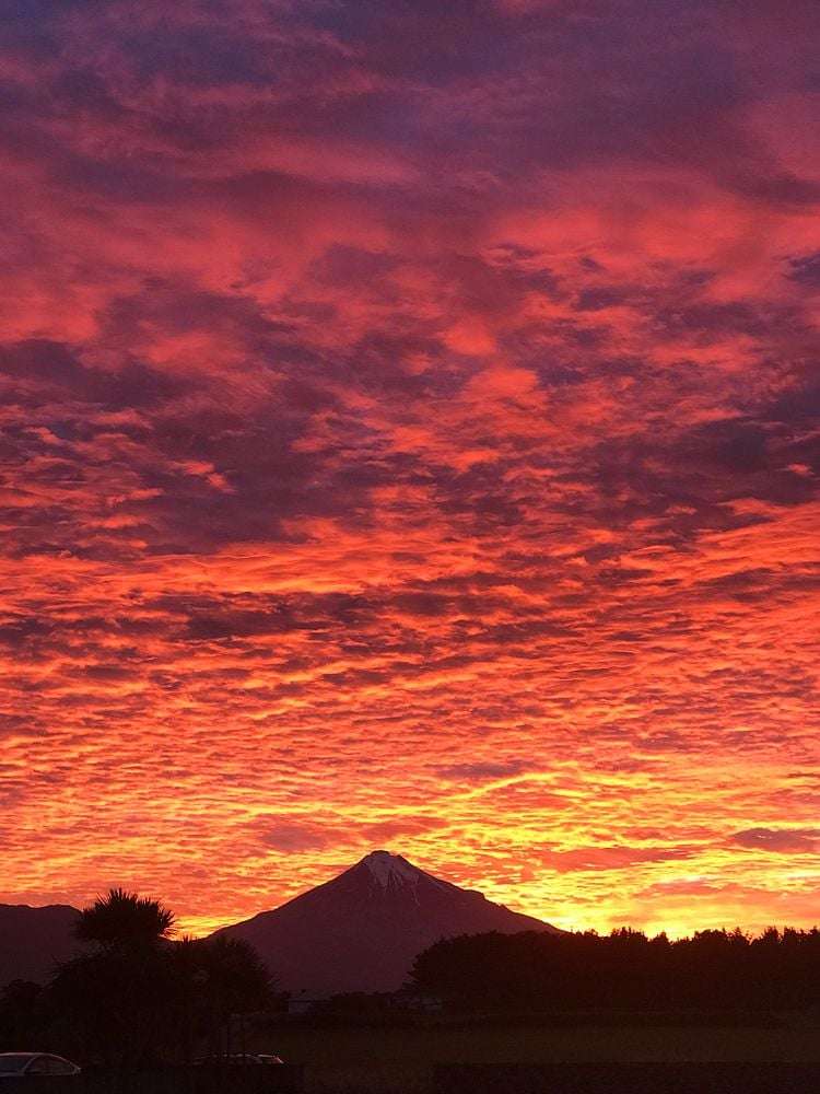 247 Lower Puniho Road Warea_21