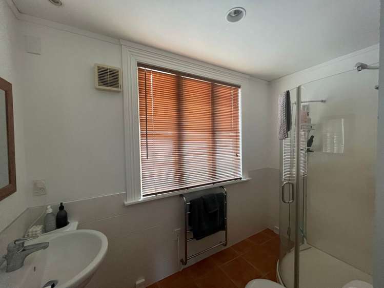 30 Dexter Avenue Mount Eden_16