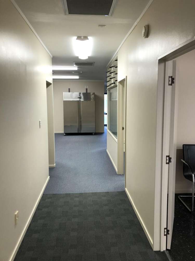 102 Station Street Napier South_8