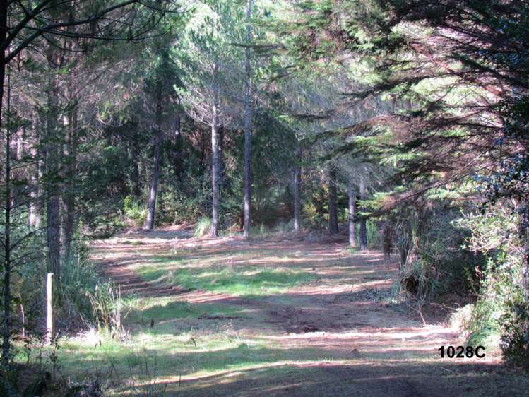 1028 A,B,C McIvor Road Rotoma_21