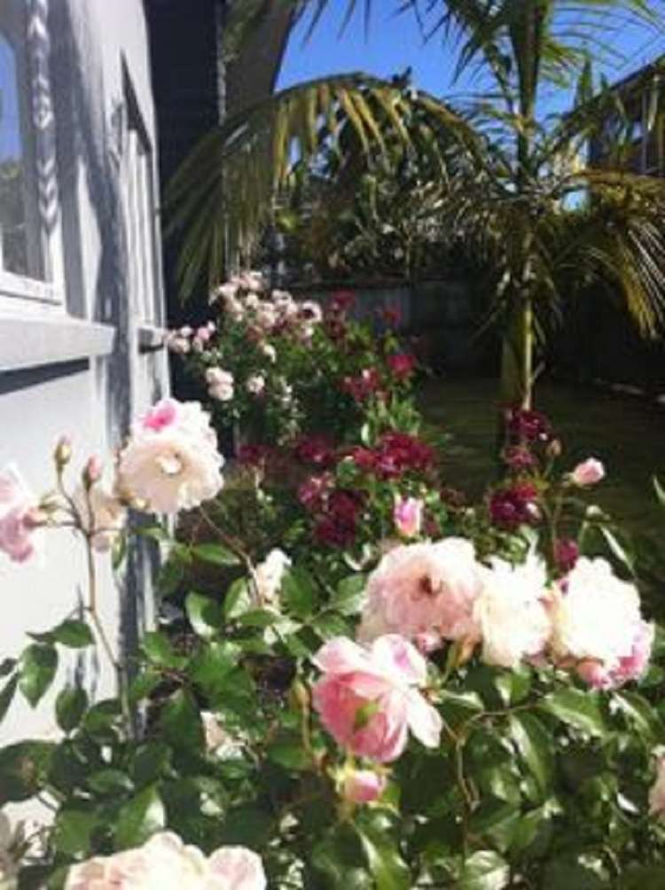 2/167a Carlisle Road Northcross_14