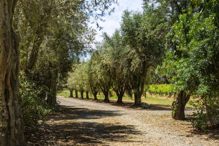 686 Dillons Point Road Blenheim_22