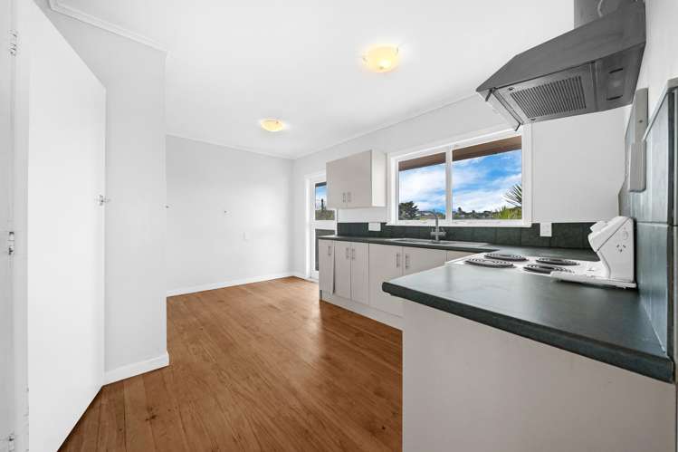 52 Carlton Street Hillsborough_13