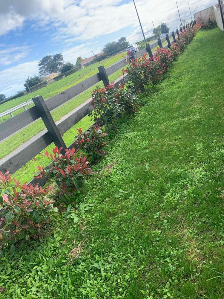 115 Mutetai Road Clarks Beach_28