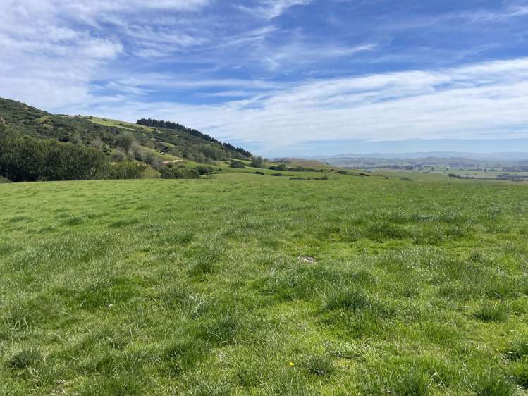 124 Strathearn Road Wairuna_12