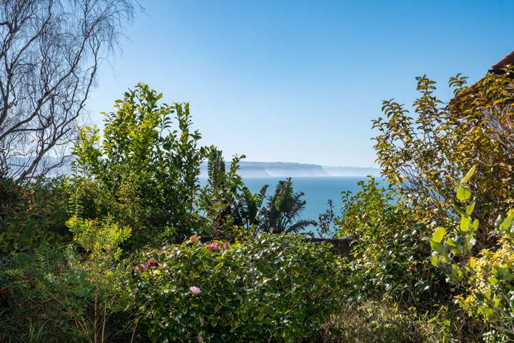 3/112a Thompson Road Bluff Hill_3