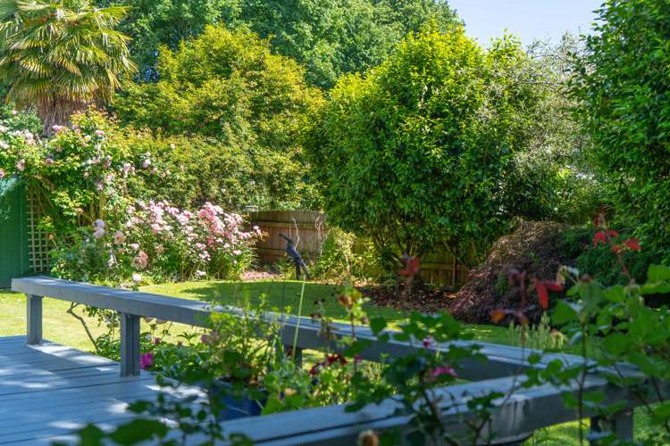 50 Essex Street Masterton_21