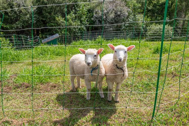 22 Awatiro Drive Kaukapakapa_41