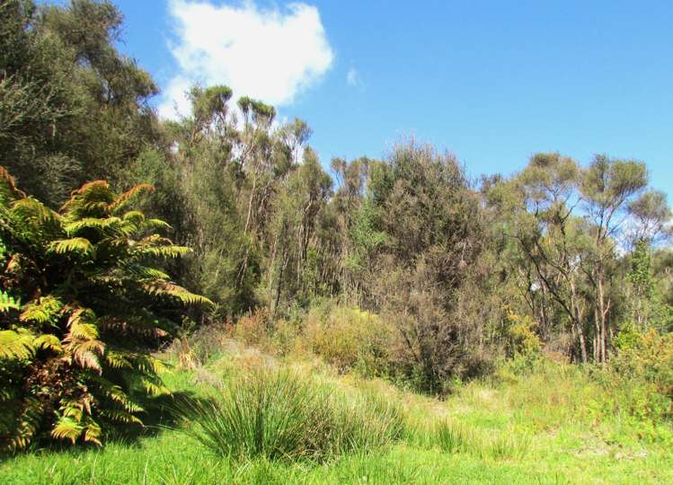 1712 State Highway 7 Moana / Lake Brunner_52