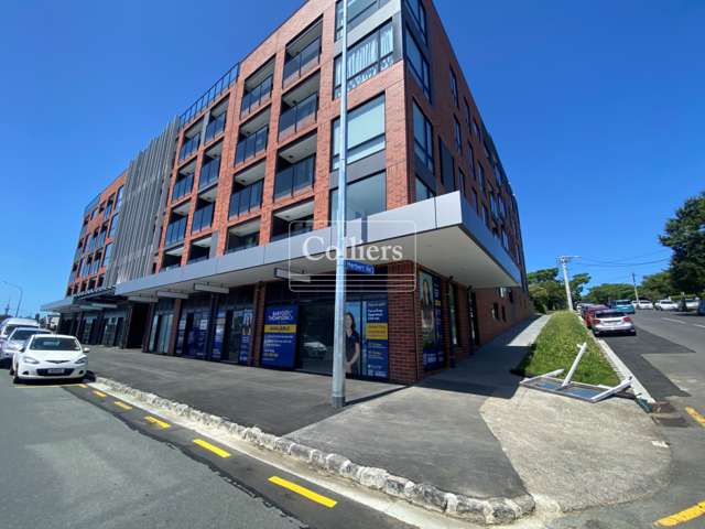 Unit F, 428  Dominion Road Mount Eden_2