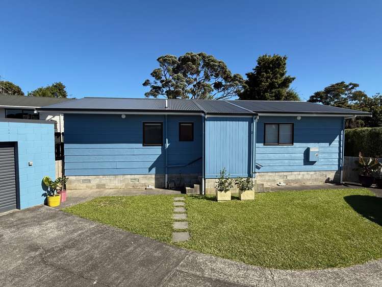 8 John Street Raglan_35