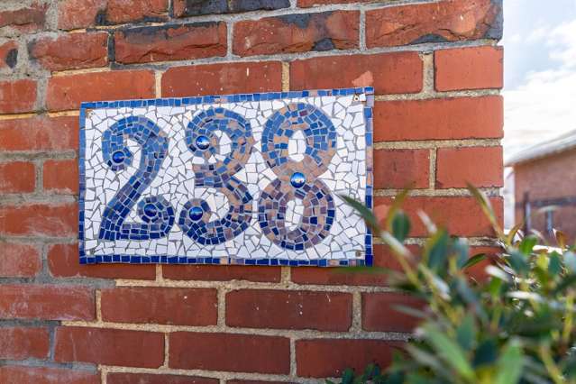 238 Bay View Road South Dunedin_1