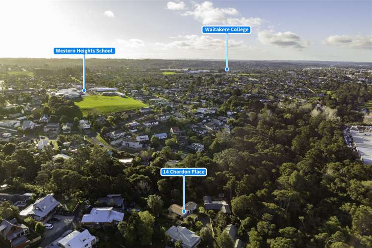 14 Chardon Place Henderson_16