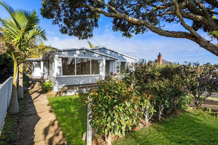 23 Carlton Street Hillsborough_10