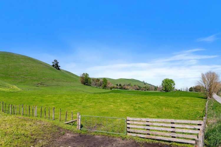 101 Te Weta Road Waikite Valley_29