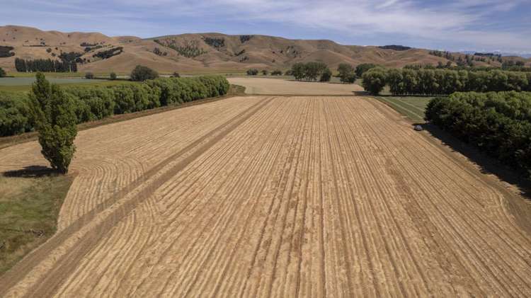 1231 Longbush Road Carterton_1