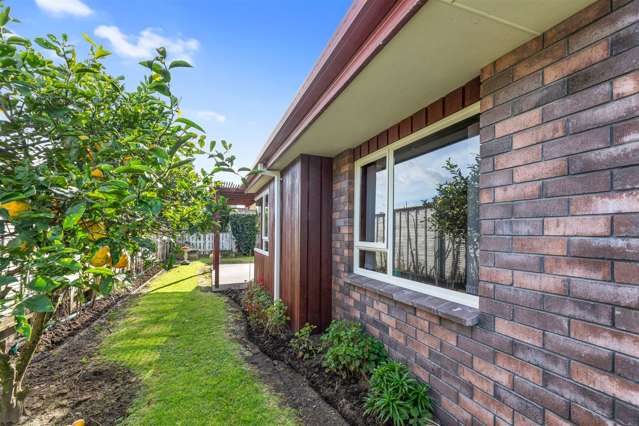 73b Boucher Avenue Te Puke_4