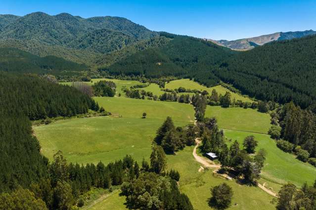 6679 State Highway 6 Rai Valley_1