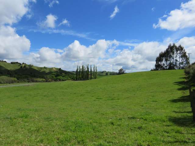 17 Riley Place Owhango_2