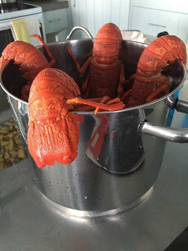 149 Te Awaiti Road Tora_22