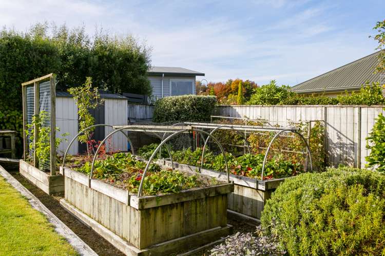 14 Vaucluse Drive Nukuhau_24