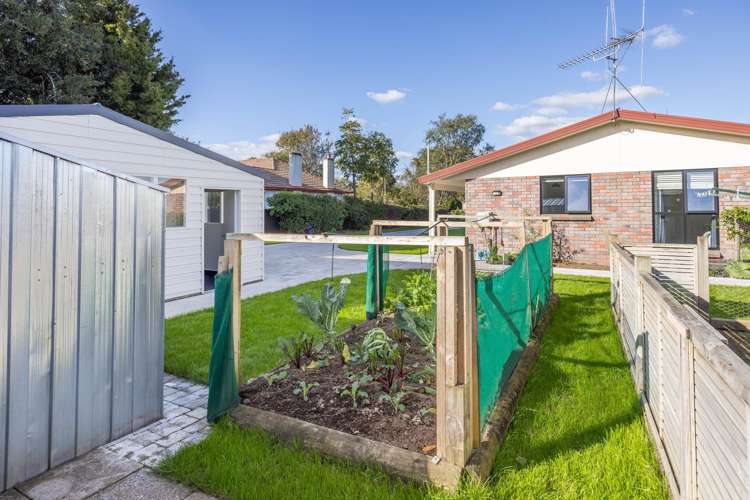 52 Mcclure Street Pirongia_2