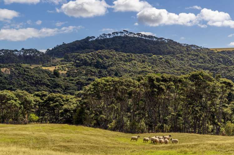 1223 Old North Road Waimauku_20