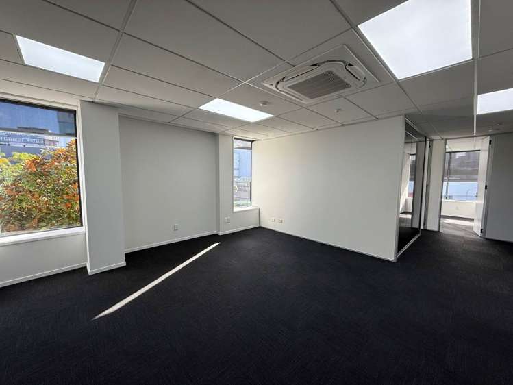 10 College Hill Freemans Bay_2