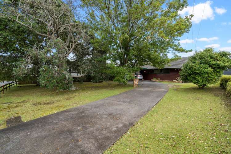 37 Penney Avenue Mount Roskill_5