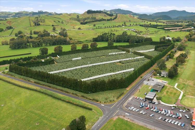 79 Woodlands Road Waihi Beach_8