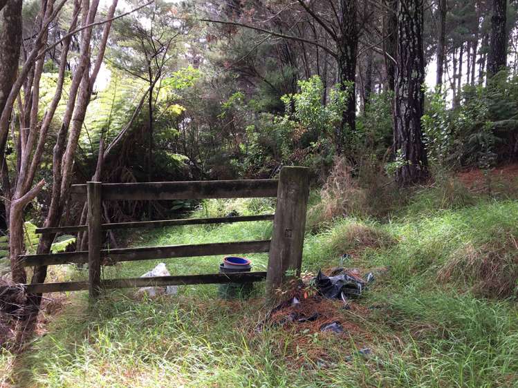 17 Pekama Drive Cable Bay_7