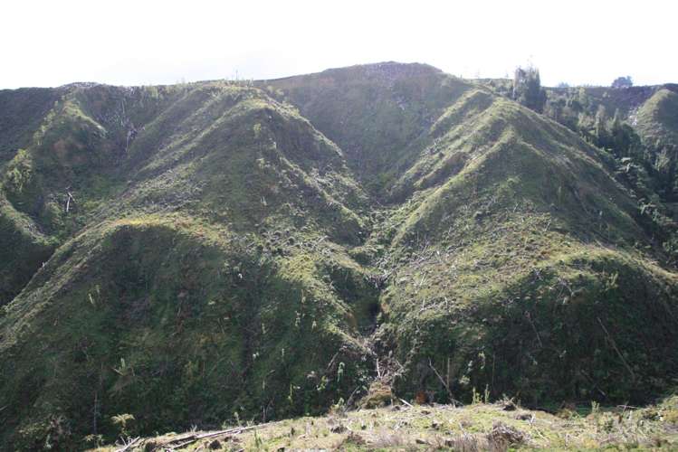 0n Makakaho Road Ngamatapouri_9