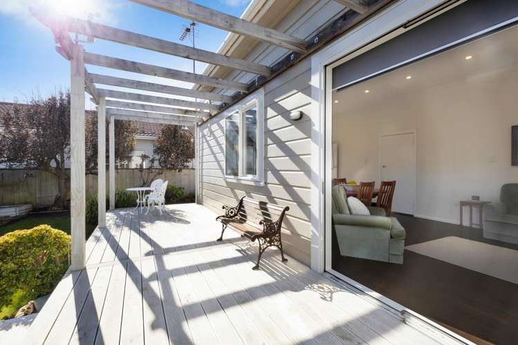 67 Devonshire Road Miramar_9