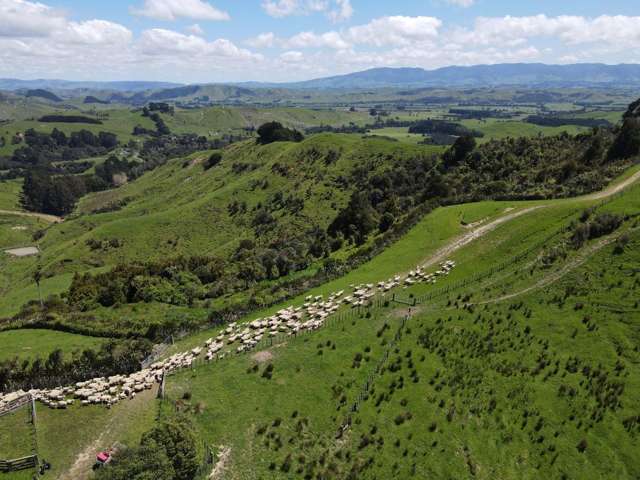 374 Otawhao Road Kumeroa_4