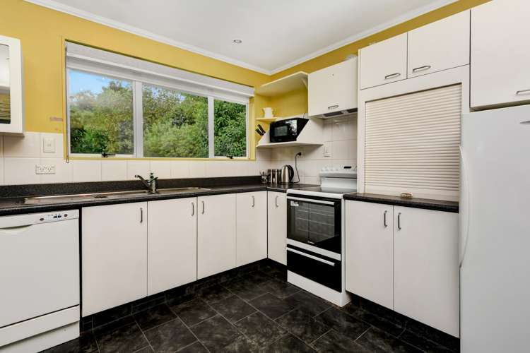 46 Mangapiko Street Te Awamutu_5