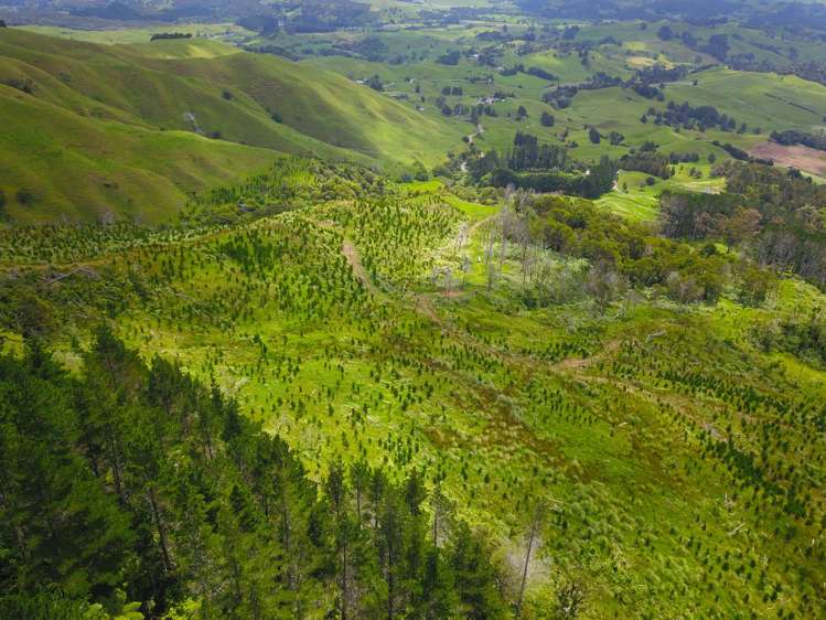 Lot 0 Te Rore Road Kaitaia_7