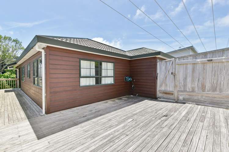 26 Elliott Street Johnsonville_10