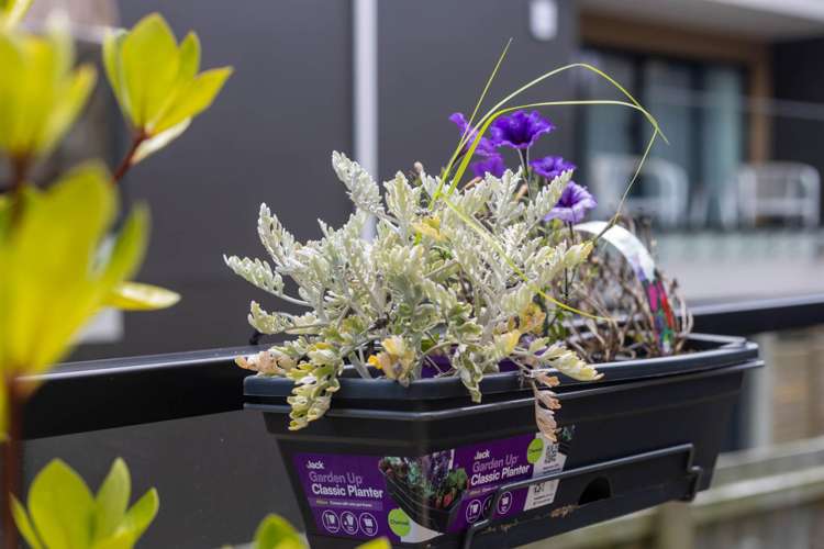 9C Catalina Crescent Forrest Hill_17