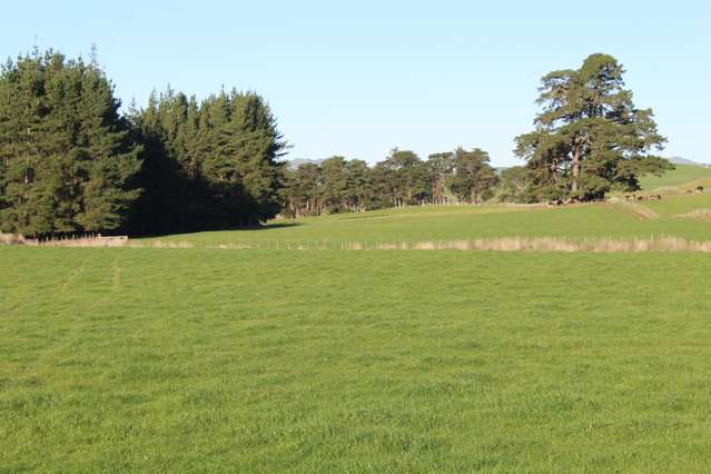 75647 State Highway 2 Norsewood_2