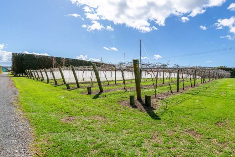 154b Wairoa Road Te Puna_8