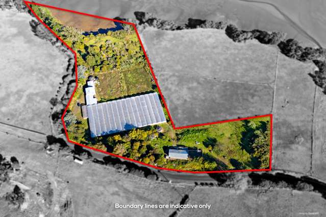 144 Kauri Road Awhitu_4