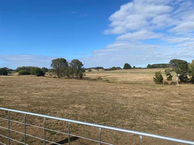 Taukoro Road Morrinsville_7