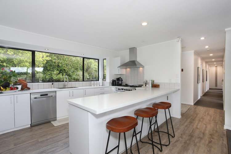 455b State Highway 1 Bulls_2