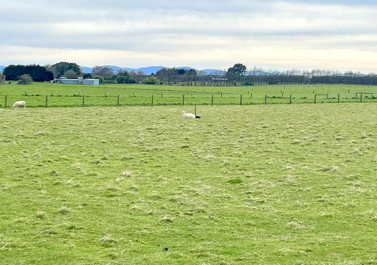 70 Woodlands Cemetery Road Woodlands_3