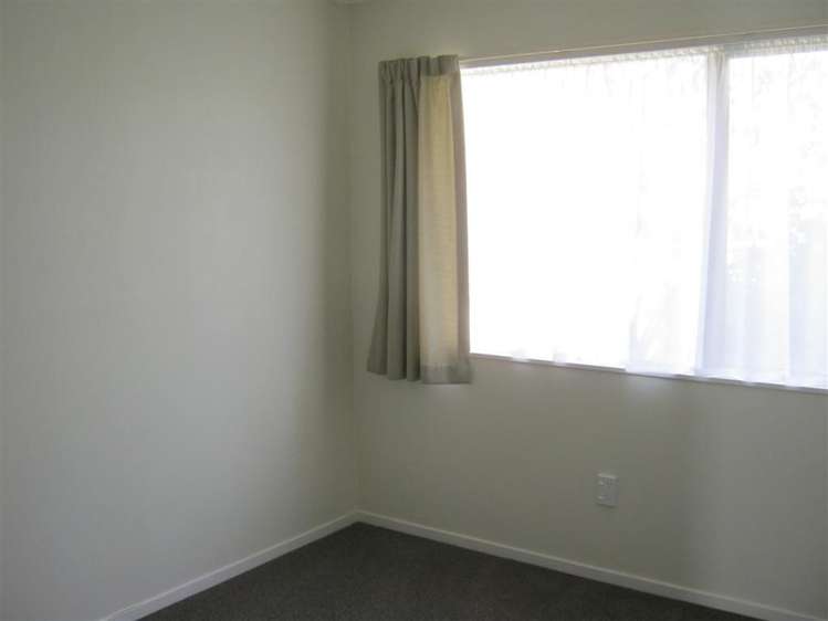 87 Domain Road Tauranga_12