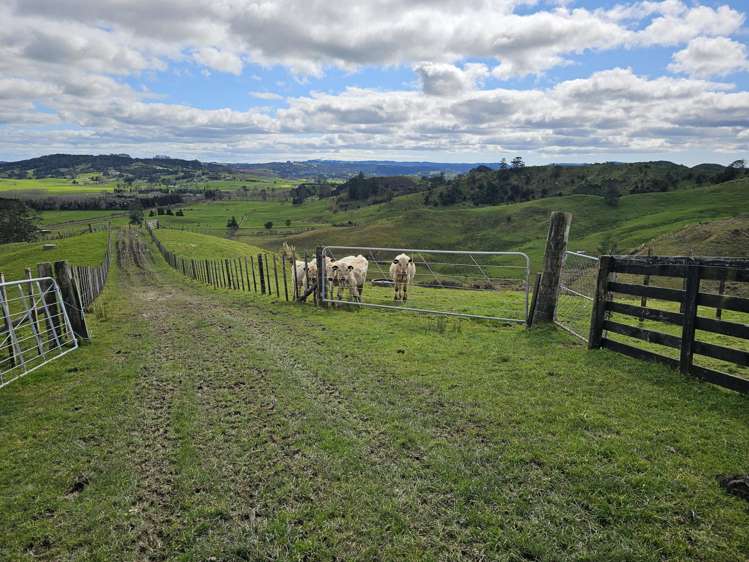 113C Marua Road Hikurangi_34