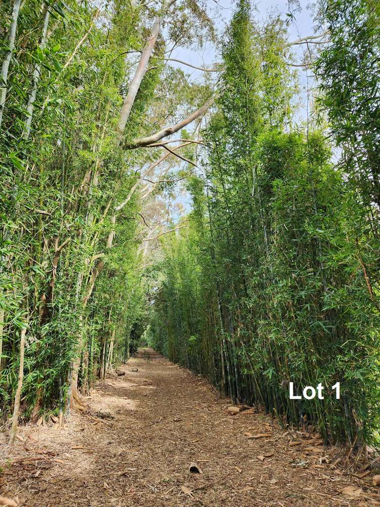 493 Mangakahia Road Maungatapere_7