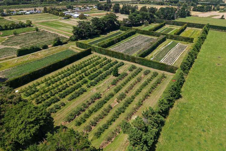 1191-1193 State Highway 1 Te Horo_28