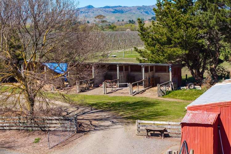 107 State Highway 63 Renwick_17